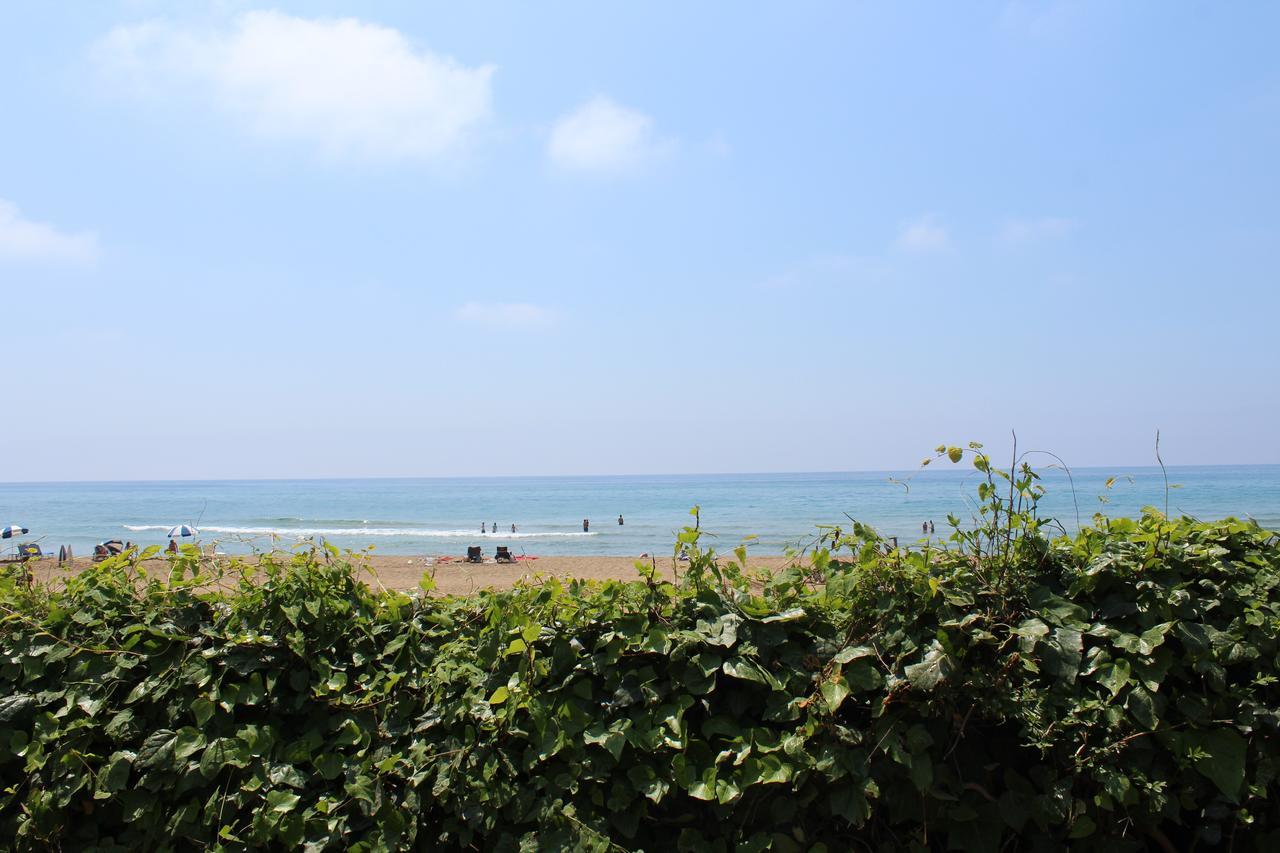 Glyfada Gorgona Apartments ภายนอก รูปภาพ
